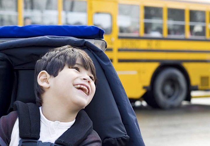 School & Education Transport